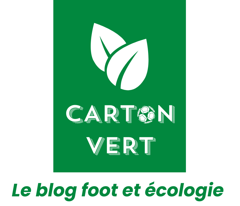 CARTON VERT